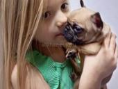 Шикарные Французики 