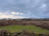 Золотой берег, 30 соток 