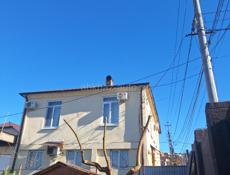 спил деревьев