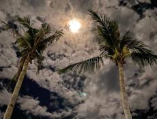 Ищу работу могу пойти мойщиком 