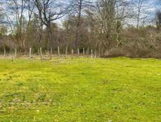 УЧАСТОК 6 СОТОК 70 М ОТ ПЛЯЖА В С. БАБЫШИРА