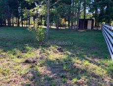 Продается земельный участок с домом 