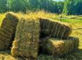 Сено в тюках 