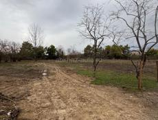 Рассмотрю варианты