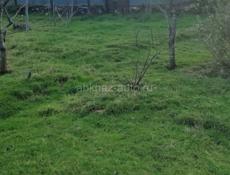 УЧАСТОК ЦАНДРИПШ