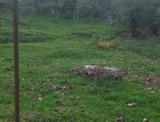 УЧАСТОК ЦАНДРИПШ