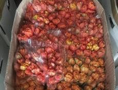 Тюльпаны 🌷💐