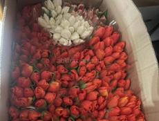 Тюльпаны 🌷💐