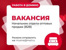 Вакансия: Начальник отдела оптовых продаж (В2B)