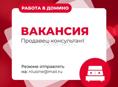 Вакансия: В команду Домино требуется продавец-консультант 