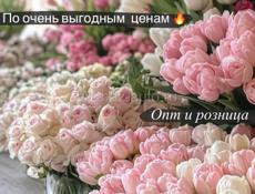 Тюльпаны Опт и Розница 
