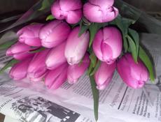 Тюльпаны