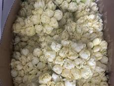 Тюльпаны 🌷💐