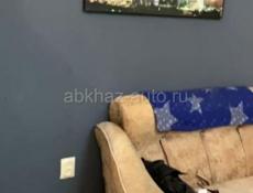 2-х комнатная квартира