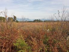 Продам земельный участок