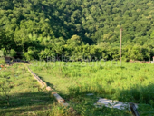 Документы есть 