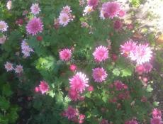 В поисках работы 