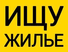 Семья с маленьким ребёнком хотим снять квартиру 