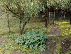 Дом с земельным участком  на Бзыби 