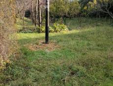 Дом с земельным участком  на Бзыби 