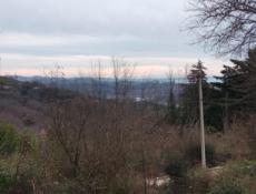 Продам участок в Эшере