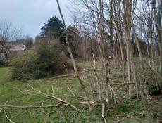 Продам участок в Эшере