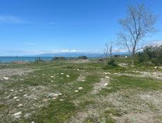 Аэропорт . Берег.Срочно .