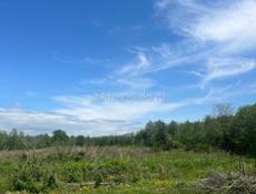 Аэропорт . Берег.Срочно .