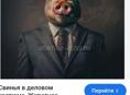 Продается свинья 🐷 так же кабан кабану год и три месяца 