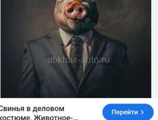 Продается свинья 🐷 так же кабан кабану год и три месяца 
