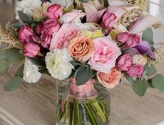 Куплю вислоухого котенка ! 