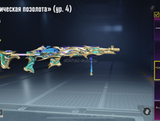 Аккаунт в папге 