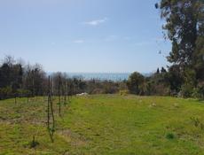 50сот срочно! Цена⤵️💣