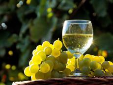 Белое вино 