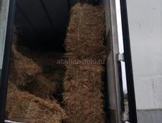 Сено разнотравие