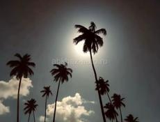 гагра пицунда 