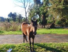 Продается срочно 