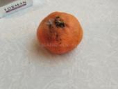 Срочно без торга