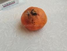 Срочно без торга