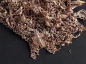 Куплю золото 5000 за грам 