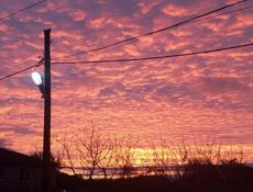 Срочно ищу работу