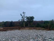 Гагра, Красный Крест