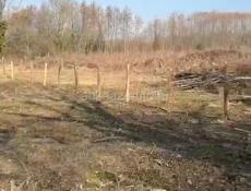 Аэропорт Бабушера участок