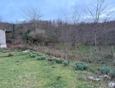 3 участка вместе с домом