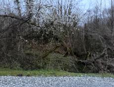 3 участка вместе с домом