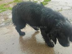 Продам либо обмен усматриваю все варианты 