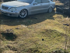 Разбор 7116999