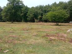 Агудзера Гулрыпш аэропорт. Участок Дом