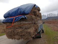 Грузопервезаи по Абхазии