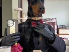 Ищу любую работу Ватсап 